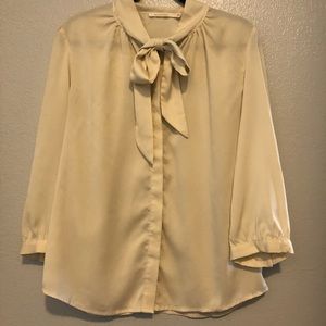 Professional, silk shirt